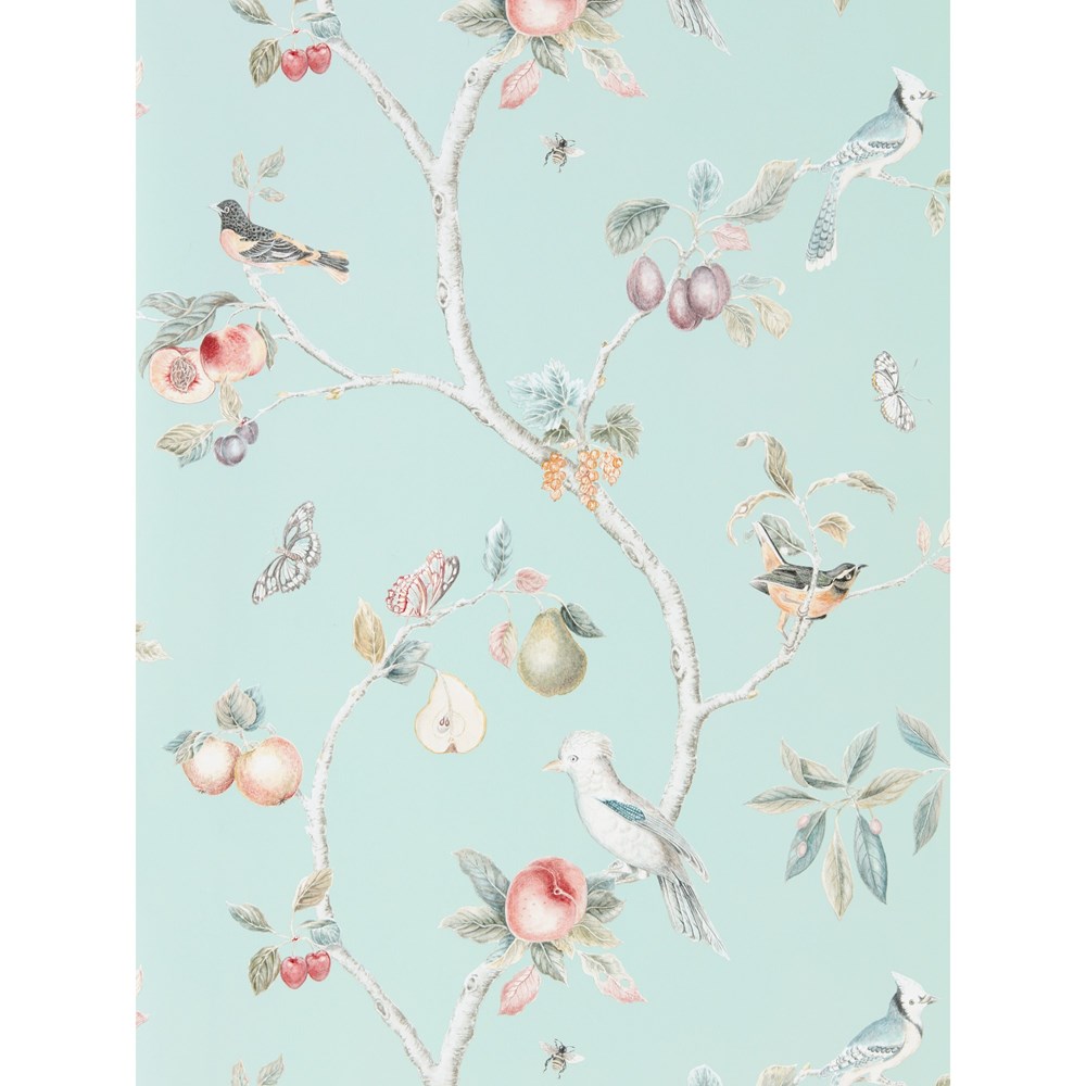 Fruit Aviary Wallpaper 216312 by Sanderson in Duck Egg Multi